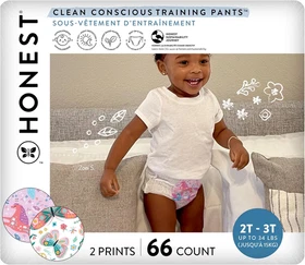 Honest Company Training Pants 2T/3T Size 2 3 Butterfly Kisses 66ct Sensitive New