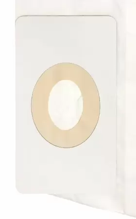 JAN-NSSP30-2 JANITIZED Vacuum Paper Bag Nss Pacer #2 JAN-NSSP30-2 JANITIZED Vacuum Paper Bag Nss Pacer #2