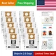 VF3503 Vacuum Bags Compatible with Ridgid 5 to 10 Gallon Wet/Dry Vacs, Size B...