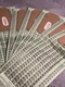 6 Oreck XL Type CC Vacuum Cleaner Bags CCPK8DW