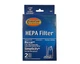 Riccar 1700 1800 HEPA And Charcoal Filter Set RF17 Also Will Fit Simplicity M...