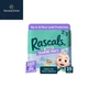 Rascals Premium CoComelon Absorbent Potty Training Pants 2T-3T, 25 Count