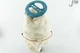 4150 NILFISK MAIN COTTON FILTER FOR 80 SERIES 61543000 4150 NILFISK MAIN COTTON FILTER FOR 80 SERIES 61543000