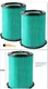 2 Pack VF6000 Filter for Ridgid 5-20 Gallon Wet Dry Vacuums WD5500 WD0671 WD6... 2 Pack VF6000 Filter for Ridgid 5-20 Gallon Wet Dry Vacuums WD5500 WD0671 WD6...