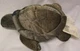 Russ Zonies TERRAPIN TURTLE 8" Bean Bag Stuffed Animal TOY