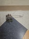 Oreck Vacuum Cleaner Motor for LW100 Magnesium Upright, 83001-01 Oreck Vacuum Cleaner Motor for LW100 Magnesium Upright, 83001-01